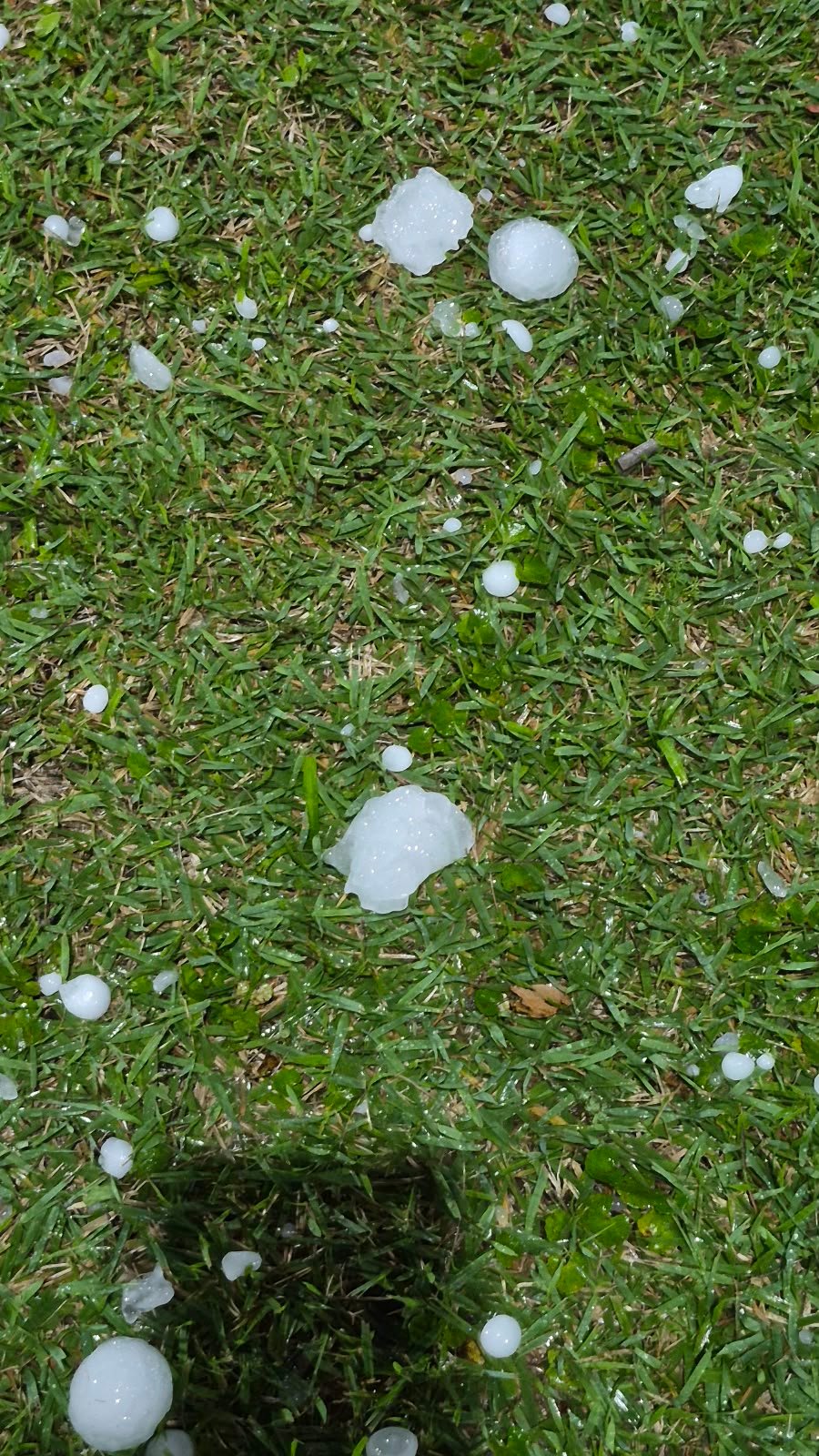 Fortes chuvas de granizo que atingiram a região de Canasvieiras no último sábado causaram danos às instalações da ABVO